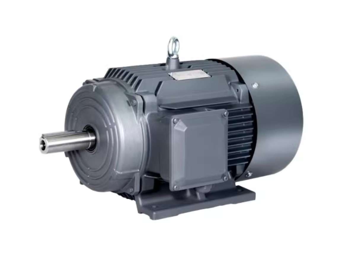 <strong> TYCX系列自啟動永磁同步系列電動機</strong>